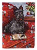 Carolines Treasures PPP3179GF Scottie Lil Einstein Garden Flag
