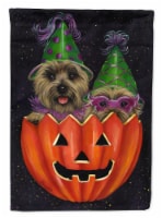 Carolines Treasures  PPP3056CHF Cairn Terrier Halloween PeekaBoo Flag Canvas Hou