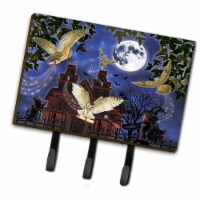 Carolines Treasures PRS4051TH68 6 x 2 x 9 in. Halloween Owl Express Leash or Key Holder