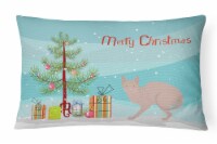 Don Sphynx #3 Cat Merry Christmas Canvas Fabric Decorative Pillow