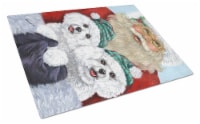 Bichon Frise Santa Christmas Glass Cutting Board Large