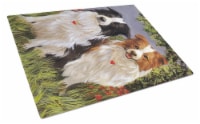 Carolines Treasures PPP3029LCB Border Collie Patrol Glass Cutting Board Large