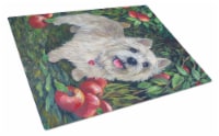 Carolines Treasures PPP3116LCB Norwich Terrier Apple Grove Glass Cutting Board