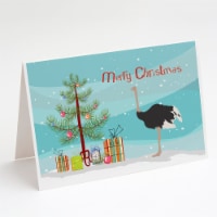Common Ostrich Christmas Greeting Cards and Envelopes Pack of 8, Teal