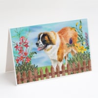 Carolines Treasures  CK1241GCA7P Saint Bernard Spring Greeting Cards and Envelop