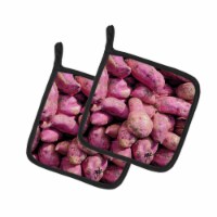 Carolines Treasures  GAK1025PTHD Pair of Pot Holders