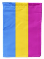 Carolines Treasures CK8005CHF Pansexual Pride House Flag