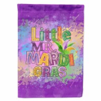 Carolines Treasures WDK4651CHF 40 x 28 in. Unisex Little Mr. Mardi Gras Canvas House Flag
