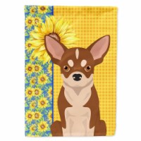 Carolines Treasures WDK5373CHF 40 x 28 in. Summer Sunflowers Red & White Chihuahua Canvas Hou