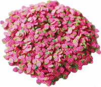 Dress My Craft Shaker Elements 8gms-Strawberry Slices