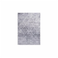 Fred Meyer Mayra Grey Area Rug
