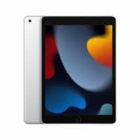 Apple 10.2 In Silver iPad Wi-Fi 256GB