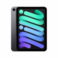 Apple Space Gray iPad Mini