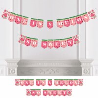 Big Dot of Happiness Sweet Watermelon - Bunting Banner Party Decor - One In A Melon So Sweet