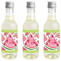 Big Dot of Happiness Sweet Watermelon Mini Wine Bottle Label Stickers Fruit Party Favor 16 Ct