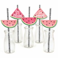 Big Dot of Happiness Sweet Watermelon - Paper Straw Decor - Fruit Party Striped Straws 24 Ct