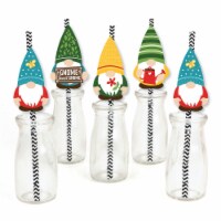 Big Dot of Happiness Garden Gnomes - Paper Straw Decor - Forest Gnome Striped Straws 24 Ct