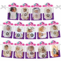 Big Dot of Happiness 1st Birthday Roar Dinosaur Girl 1-12 Month Picture Display Photo Banner
