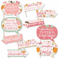 Big Dot of Happiness Funny Girl Little Pumpkin Birthday Baby Shower Photo Booth Props 10 Pc
