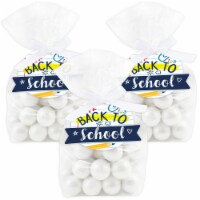 Big Dot of Happiness Back to School First Day Classroom Favor Treat Bags With Tags 12 Ct