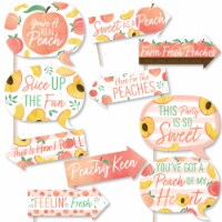 Big Dot of Happiness Funny Sweet as a Peach Baby Shower or Birthday Photo Booth Props 10 Pc