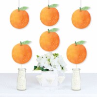 Big Dot of Happiness Little Clementine Orange Baby Shower or Birthday Party Essentials 20 Ct