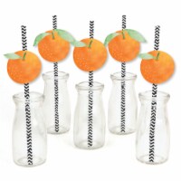 Big Dot of Happiness Little Clementine Orange Baby Shower Birthday Party Decor Straws 24 Ct