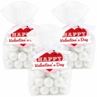 Big Dot of Happiness Conversation Hearts Valentine’s Day Favor Treat Bags With Tags 12 Ct