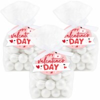 Big Dot of Happiness Happy Valentine’s Day Hearts Party Goodie Treat Bags With Tags 12 Ct
