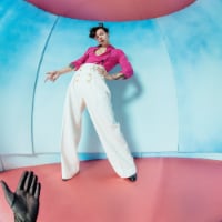 Harry Styles Fine Line Vinyl Perspective: Main