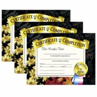 Hayes Publishing Certificate of Completion 8.5  x 11  30 Per Pack 3 Packs (H-VA524-3)
