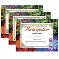 Hayes Publishing Certificate of Participation 8.5  x 11  30 Per Pack 3 Packs (H-VA633-3)