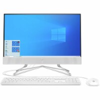 HP ALL-IN-ONE 22-DD0010 Perspective: Main