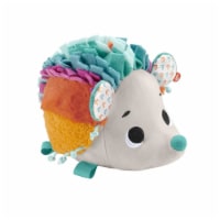 Fisher-Price Cuddle n' Snuggle Hedgehog Plush Toy with Sounds and Textures for Babies