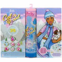 Best Buy: Barbie Color Reveal Surprise Party Dolls and Accessories Multi  GXJ88