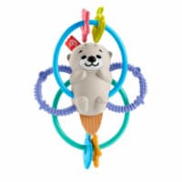 Fisher-Price® Twist Teethe Otter