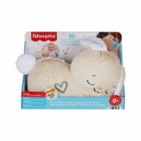 Fisher-Price® Soothe & Settle Bunny Portable Plush Perspective: Main