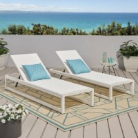 Camdyn Outdoor Mesh Chaise Lounge (Set of 2) white