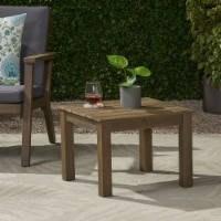 Avacyn Outdoor Mid-Century Modern End Table gray