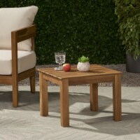 Avacyn Outdoor Mid-Century Modern End Table brown patina