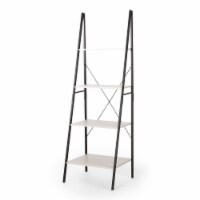 Wolfe Modern Industrial 4 Shelf Etagere Ladder Bookcase black/white
