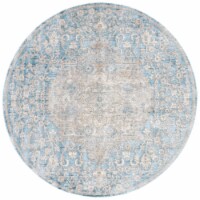 SAFAVIEH Dream Collection DRM412M Blue / Grey Rug 6' 7 round