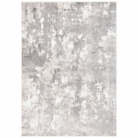 SAFAVIEH Skyler Collection SKY562F Light Grey / Grey Rug 5-5 X 7-7