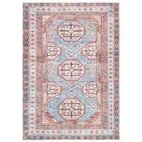 SAFAVIEH Serapi Collection SEP383J Light Blue / Brown Rug 5-3 X 7-7