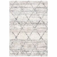 SAFAVIEH Fontana Shag Collection FNT886F Grey / Ivory Rug 3' x 5'