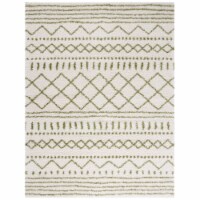 SAFAVIEH Arizona Shag Collection ASG741Y Ivory/Green Rug 8' x 10'