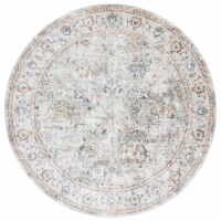 SAFAVIEH Dream DRM727A Ivory / Light Grey Rug 6' 7 round