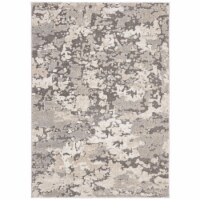SAFAVIEH Spirit Collection SPR123E Taupe / Grey Rug 6' 7 x 9'