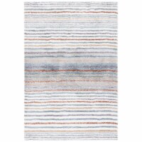 SAFAVIEH Berber Shag BER587A Blue Rust / Ivory Rug 4' 5  x 6' 5