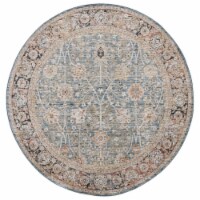 Safavieh SVD112M Silverado Blue / Rust butternut beige 6'-4 x 6'-4 round